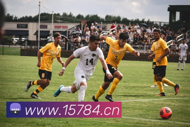 mk官网查询品牌故事